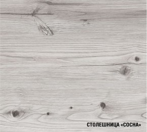 АСАЯ Кухонный гарнитур Экстра (3000 мм) в Белоярском - beloyarskiy.mebel-74.com | фото