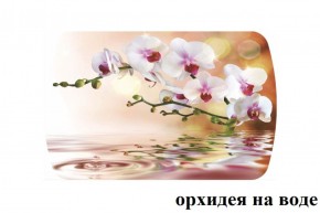 БОСТОН - 3 Стол раздвижной Орхидея на воде 1100/1420 опоры Триумф в Белоярском - beloyarskiy.mebel-74.com | фото