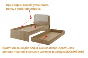 Дуглас (подростковая) М14 Кровать в Белоярском - beloyarskiy.mebel-74.com | фото