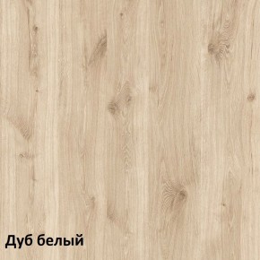 Эйп Шкаф для одежды 13.334 в Белоярском - beloyarskiy.mebel-74.com | фото