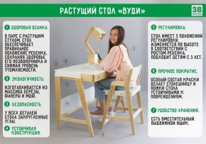 Комплект растущий стол и стул с чехлом 38 попугаев «Вуди» (Белый, Белый, Салют) в Белоярском - beloyarskiy.mebel-74.com | фото
