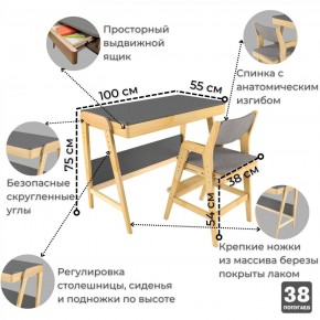 Комплект растущий стол и стул с чехлом 38 попугаев «Вуди» (Серый, Береза, Серый) в Белоярском - beloyarskiy.mebel-74.com | фото