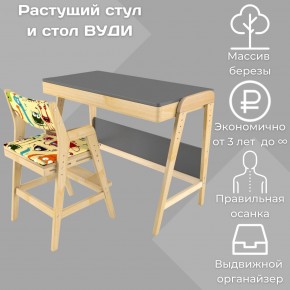 Комплект растущий стол и стул с чехлом 38 попугаев «Вуди» (Серый, Без покрытия, Монстры) в Белоярском - beloyarskiy.mebel-74.com | фото