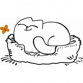 Кровать двухуровневая Кот № 900.1 ЛЕВАЯ (туя светлая/белый) в Белоярском - beloyarskiy.mebel-74.com | фото