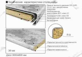 Кухонный фартук со столешницей (А-014) в едином стиле (3050 мм) в Белоярском - beloyarskiy.mebel-74.com | фото