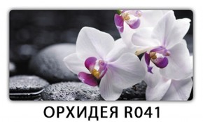 Обеденный раздвижной стол Бриз с фотопечатью Цветы R044 в Белоярском - beloyarskiy.mebel-74.com | фото
