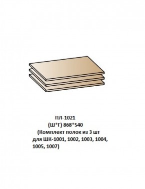 ПЛ-1021 (Комплект полок из 3 шт для ШК-1001, 1002, 1003, 1004, 1005, 1007) в Белоярском - beloyarskiy.mebel-74.com | фото
