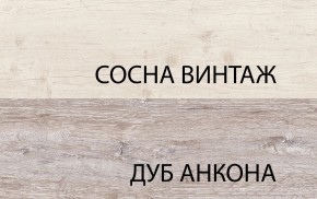 Шкаф 2D1S, MONAKO, цвет Сосна винтаж/дуб анкона в Белоярском - beloyarskiy.mebel-74.com | фото