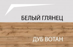 Шкаф 2DG с полками, TAURUS, цвет белый/дуб вотан в Белоярском - beloyarskiy.mebel-74.com | фото