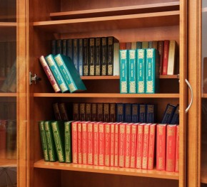 Шкаф для книг арт. 200 в Белоярском - beloyarskiy.mebel-74.com | фото