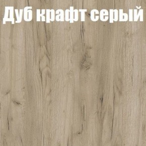 Шкаф-купе Эдем 1.5 (Дуб Крафт серый/Бетонный камень) двери ЛДСП в Белоярском - beloyarskiy.mebel-74.com | фото