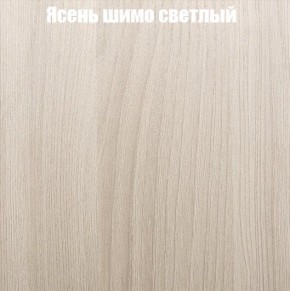 Шкаф-купе «ТАНДЕМ» 2-х дверный в алюминиевом профиле (Дверь К+К) 1200/h2200 в Белоярском - beloyarskiy.mebel-74.com | фото