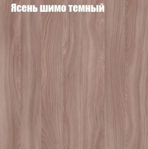 Шкаф-купе «ТАНДЕМ» 2-х дверный в алюминиевом профиле (Дверь К+К) 1400/h2200 в Белоярском - beloyarskiy.mebel-74.com | фото