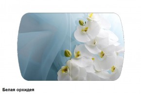 Стол Бостон 2 (1100*700) опоры Брифинг (Стекло/фотопечать Белая орхидея) в Белоярском - beloyarskiy.mebel-74.com | фото
