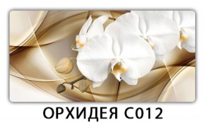 Стол раздвижной Трилогия с фотопечатью Доска D111 в Белоярском - beloyarskiy.mebel-74.com | фото