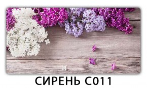 Стол раздвижной Трилогия с фотопечатью Орхидея C012 в Белоярском - beloyarskiy.mebel-74.com | фото
