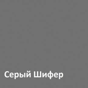 Юнона Шкаф торцевой 13.221 в Белоярском - beloyarskiy.mebel-74.com | фото